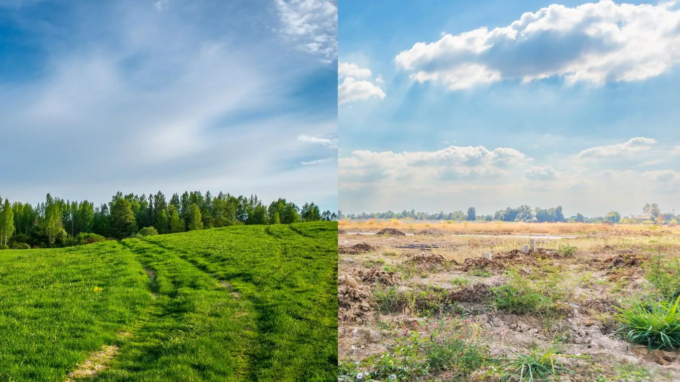 Greenfield and brownfield land the full story